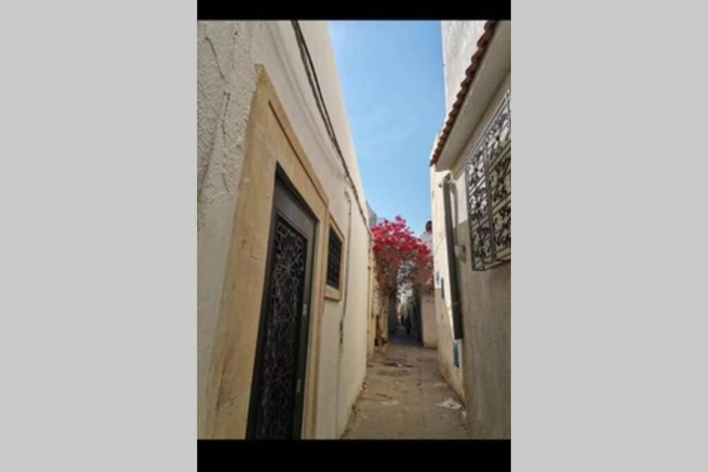 突尼斯Dar El Halfaouine公寓 外观 照片